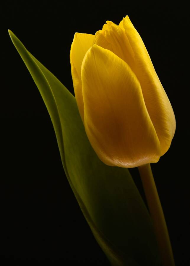 photographer TonyHill fine art  photo taken at My lounge