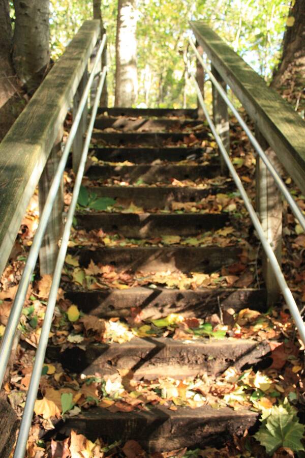 photographer spanishfly86 still life  photo