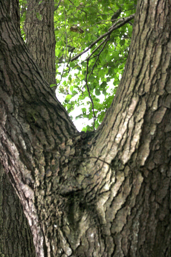 photographer JohnR documentary  photo taken at Winsford