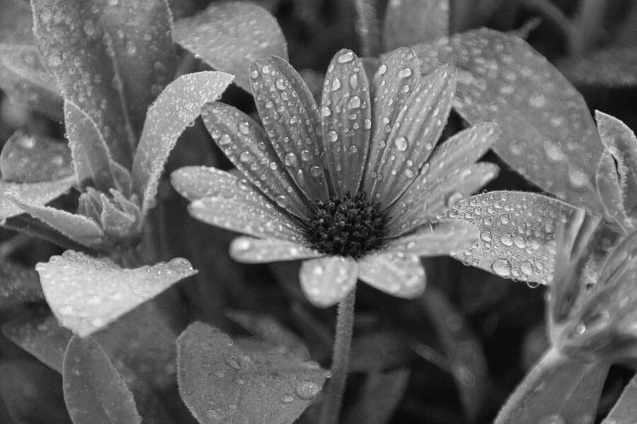 photographer dntphotographs nature  photo