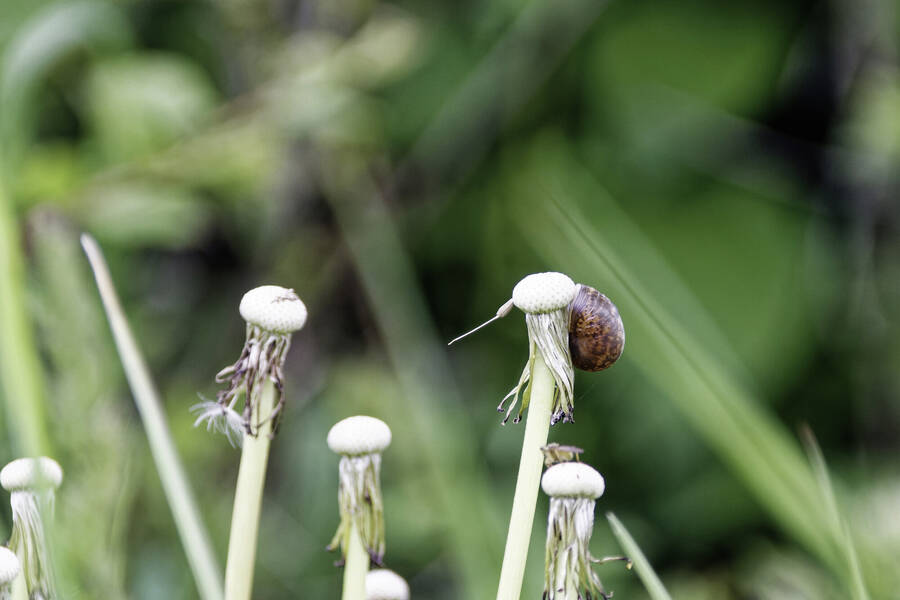 photographer dntphotographs nature  photo