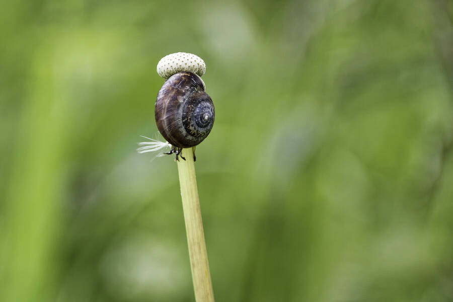 photographer dntphotographs nature  photo