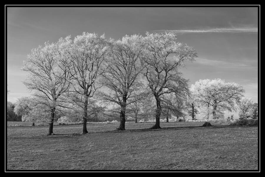 photographer Seano landscape  photo taken at Allier France