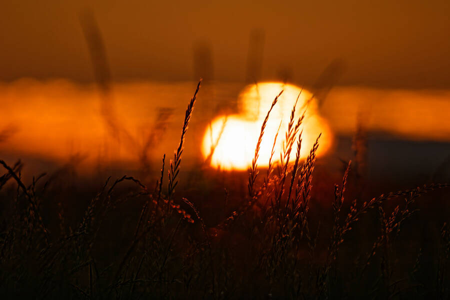 photographer dntphotographs landscape  photo