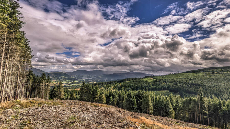 photographer Gabriel Burns uncategorized  photo