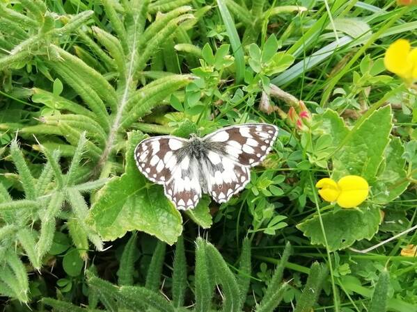 photographer Dave Wells uncategorized  photo