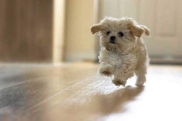 photographer The Opportunist portraiture modelling photo