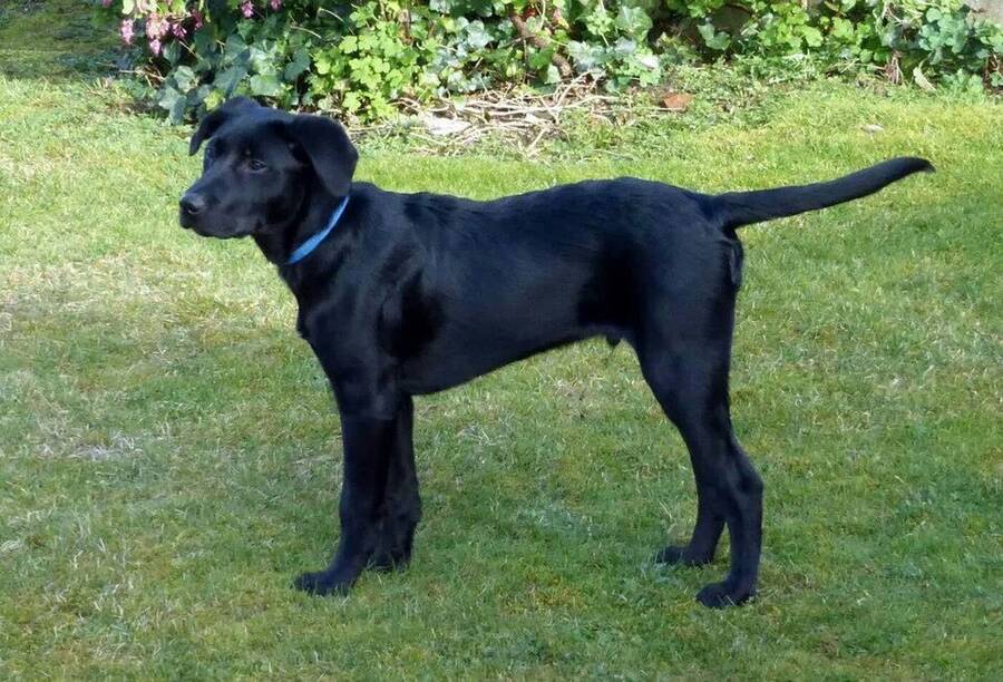 photographer Dave Wells uncategorized  photo