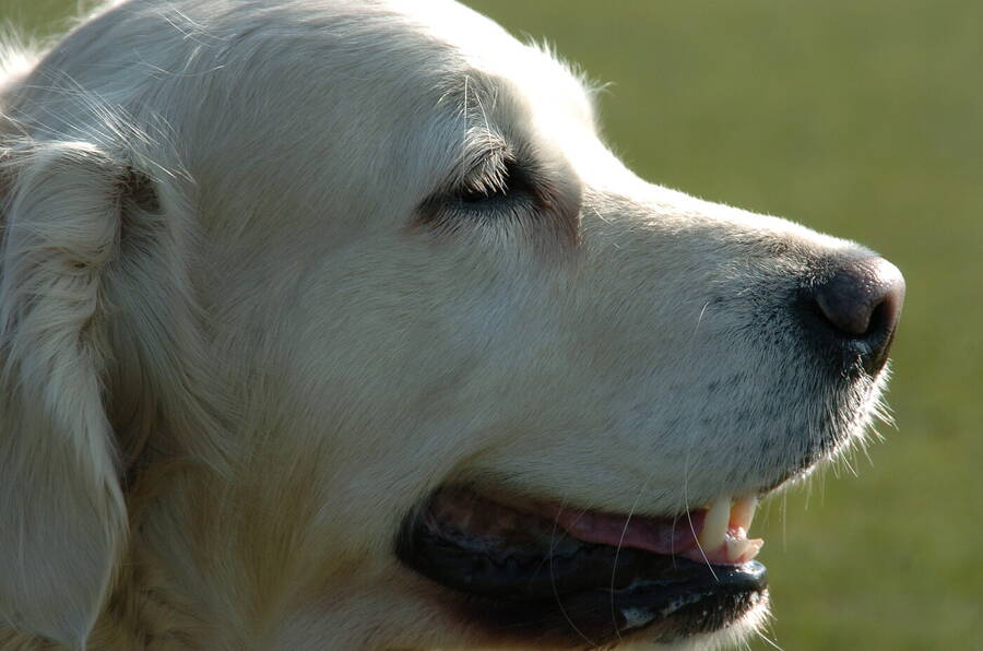 photographer Dave Wells uncategorized  photo