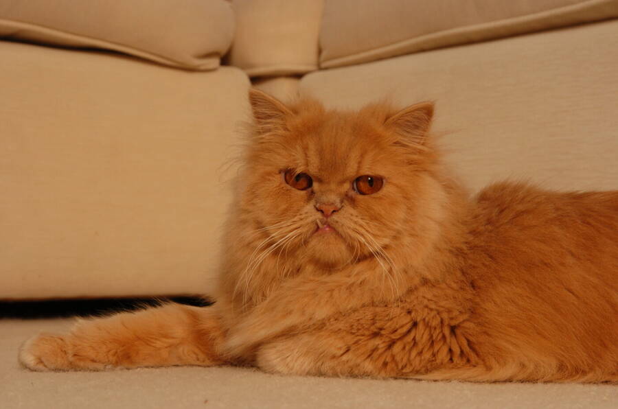 photographer Dave Wells uncategorized  photo