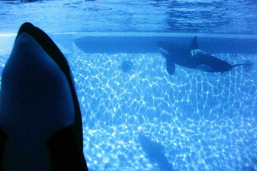 photographer Dave Wells uncategorized  photo