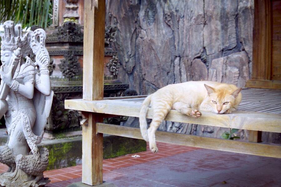 photographer Dave Wells uncategorized  photo