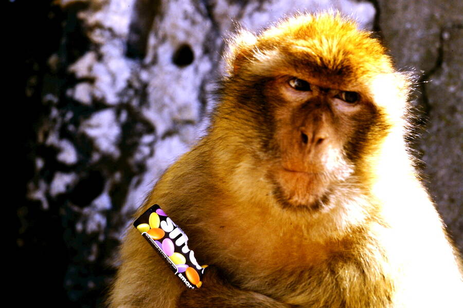 photographer Dave Wells uncategorized  photo