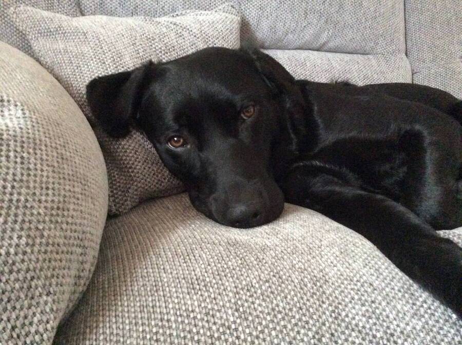 photographer Dave Wells uncategorized  photo