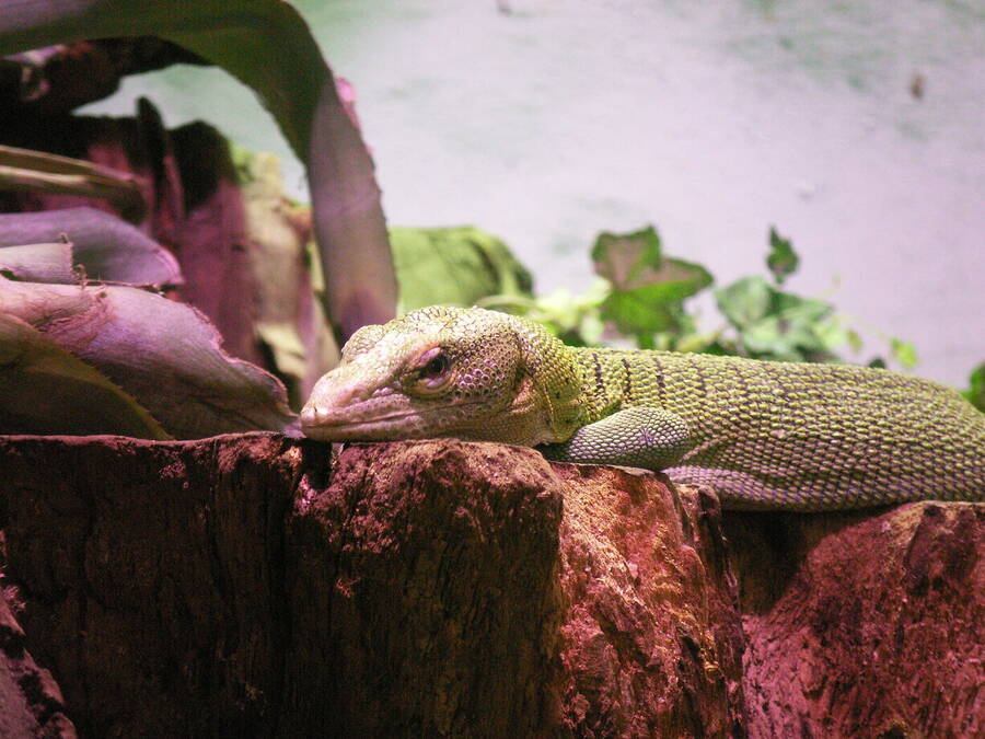 photographer Dave Wells uncategorized  photo