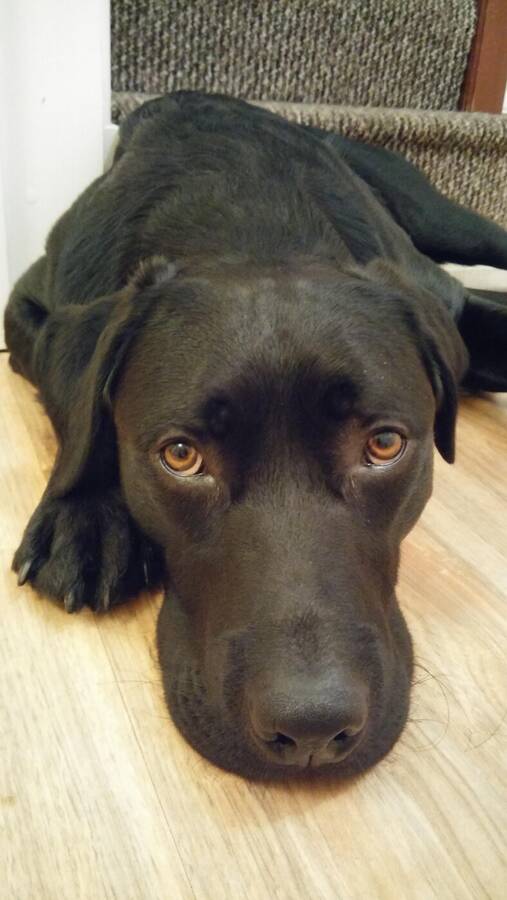 photographer Dave Wells uncategorized  photo