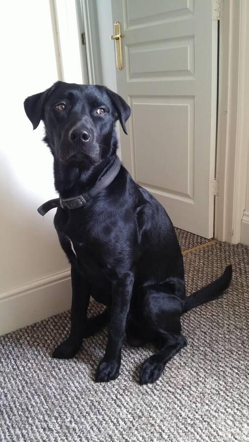 photographer Dave Wells uncategorized  photo