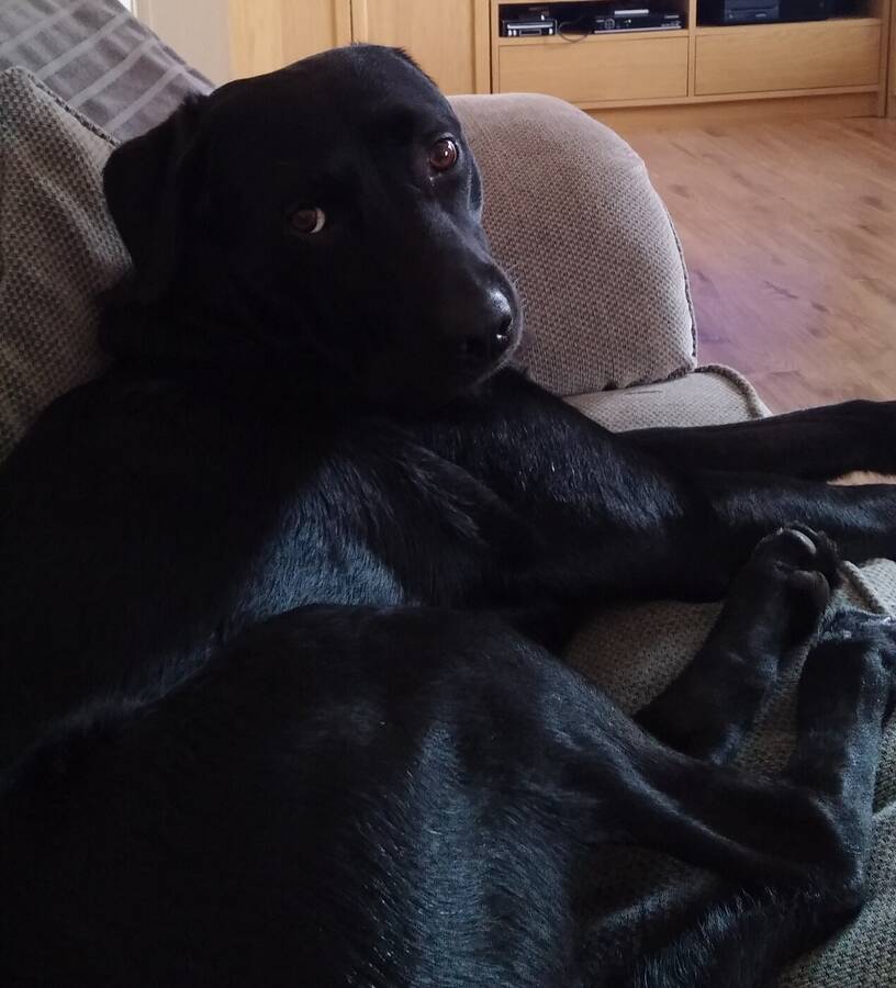 photographer Dave Wells uncategorized  photo