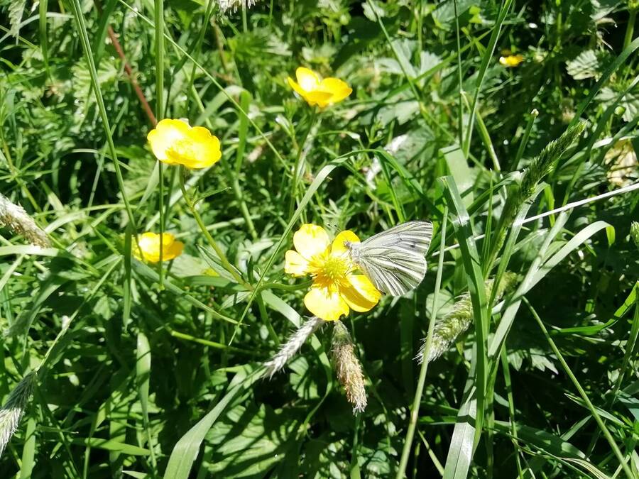 photographer Dave Wells uncategorized  photo