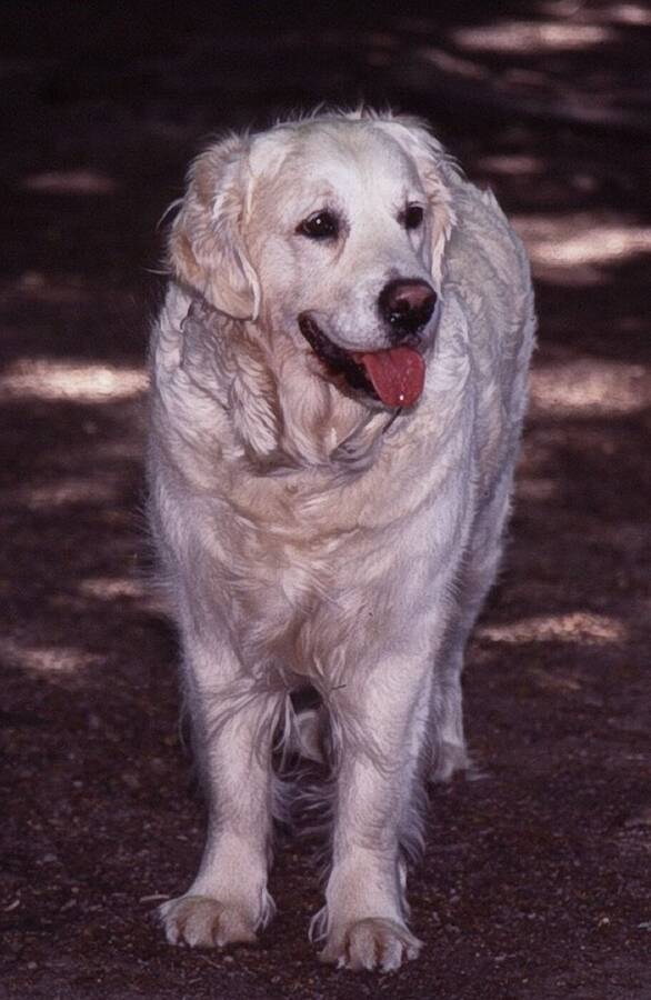 photographer Dave Wells uncategorized  photo