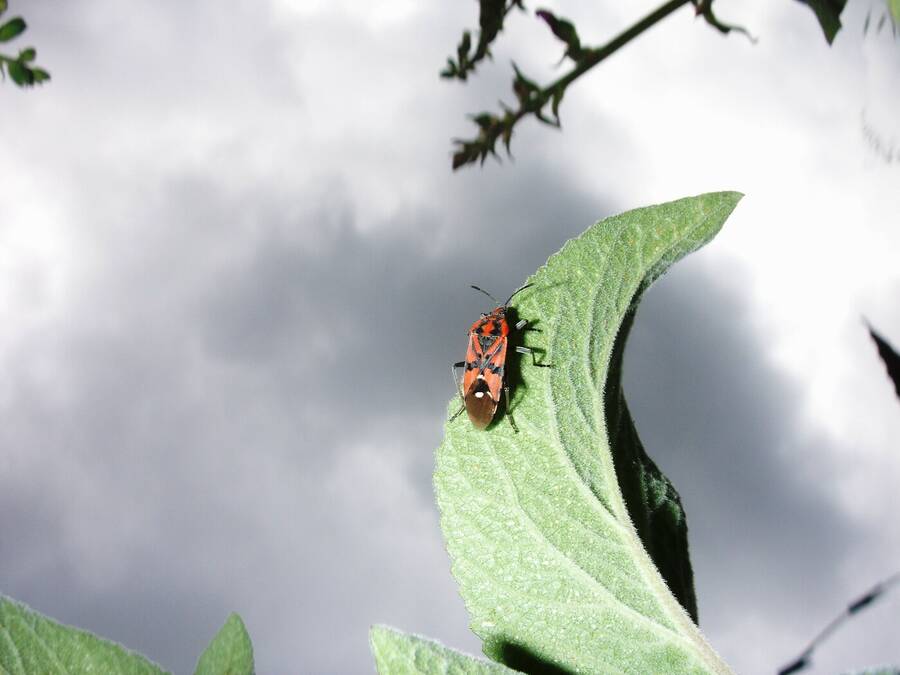 photographer Dave Wells uncategorized  photo