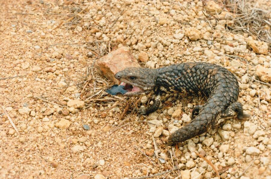 photographer Dave Wells uncategorized  photo