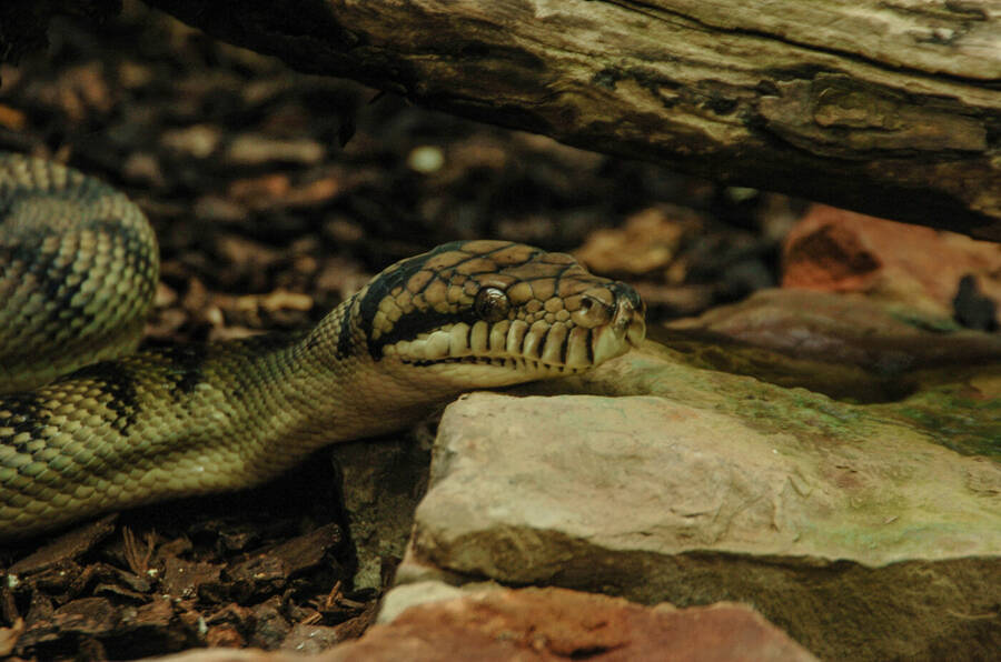 photographer Dave Wells uncategorized  photo