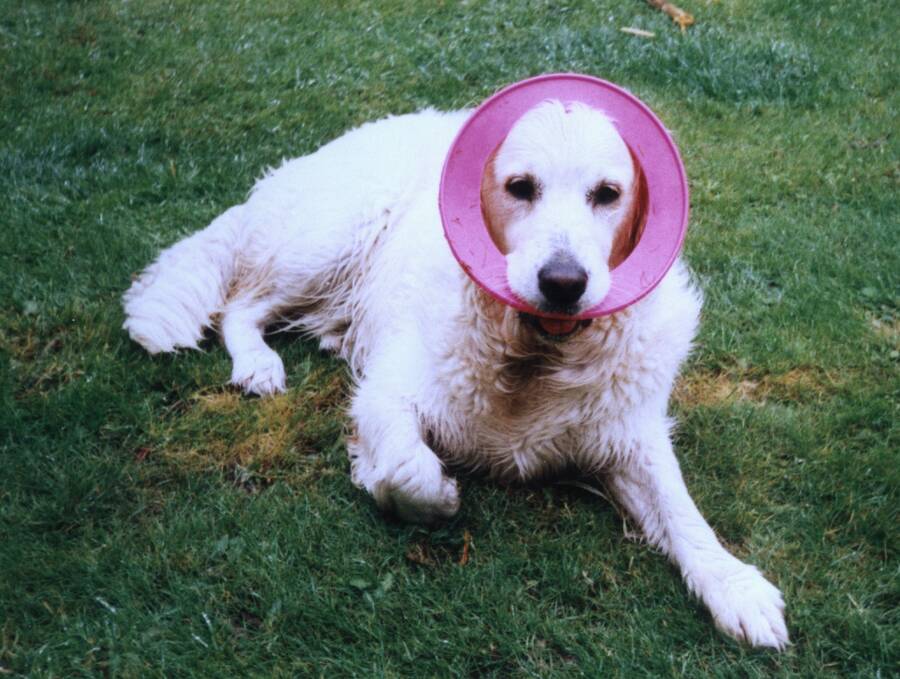 photographer Dave Wells uncategorized  photo