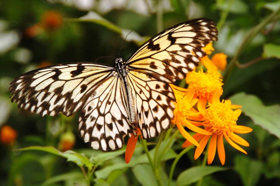 photographer Dave Wells uncategorized  photo