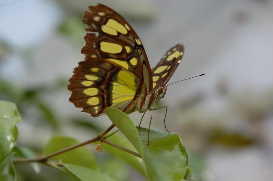 photographer Dave Wells uncategorized  photo