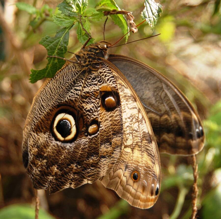 photographer Dave Wells uncategorized  photo