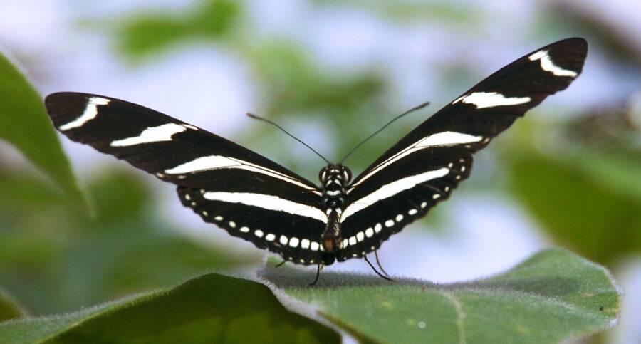 photographer Dave Wells uncategorized  photo