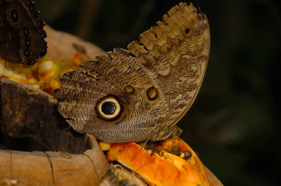 photographer Dave Wells uncategorized  photo