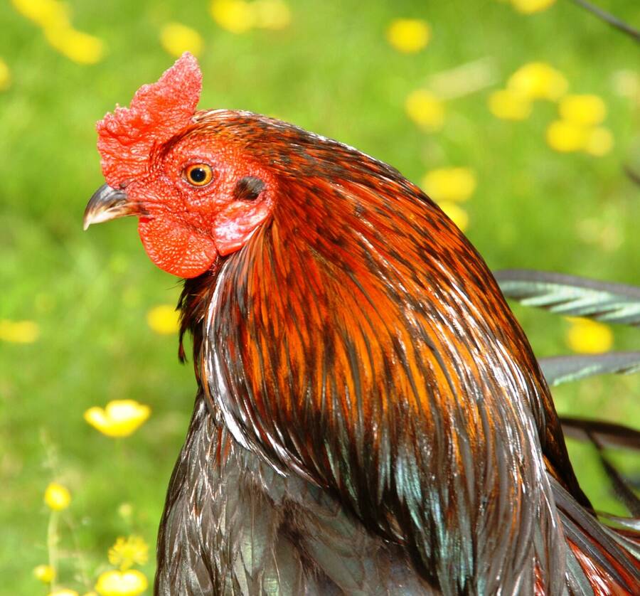 photographer Dave Wells uncategorized  photo