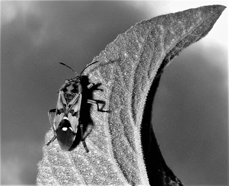 photographer Dave Wells uncategorized  photo