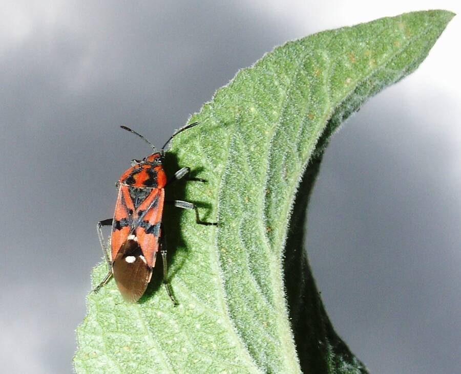 photographer Dave Wells uncategorized  photo