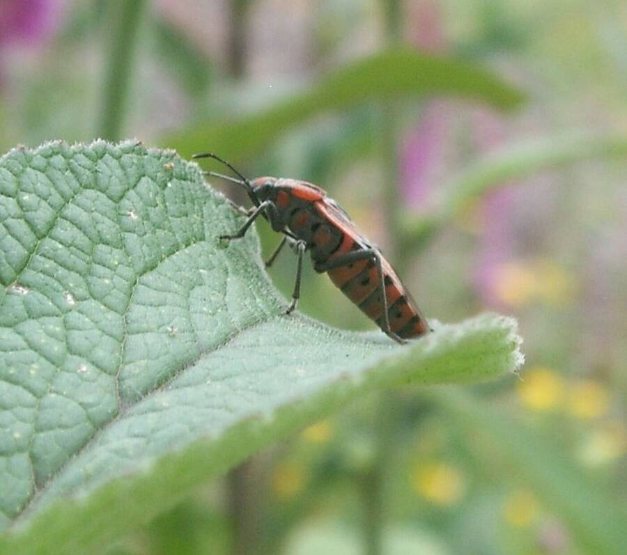 photographer Dave Wells uncategorized  photo