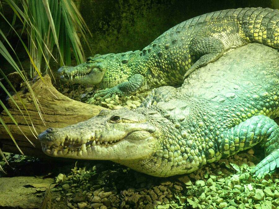 photographer Dave Wells uncategorized  photo