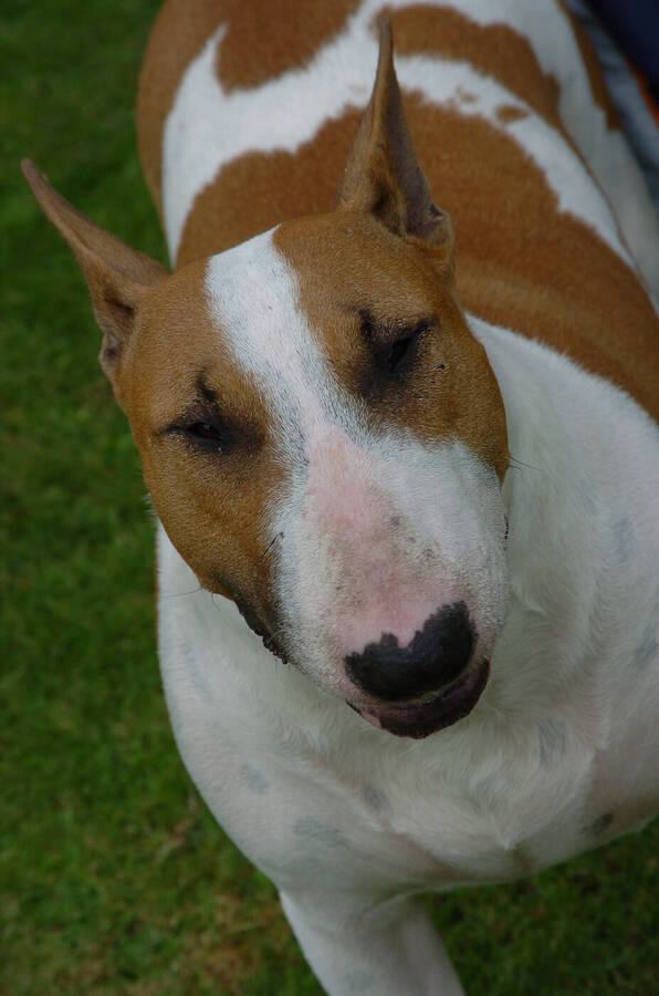 photographer Dave Wells uncategorized  photo