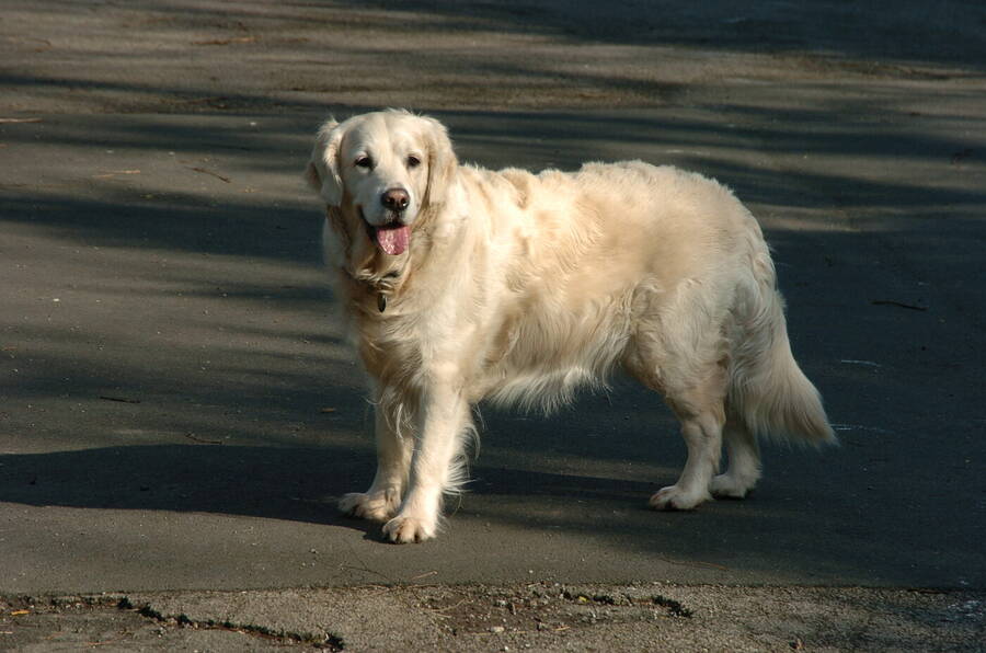 photographer Dave Wells uncategorized  photo