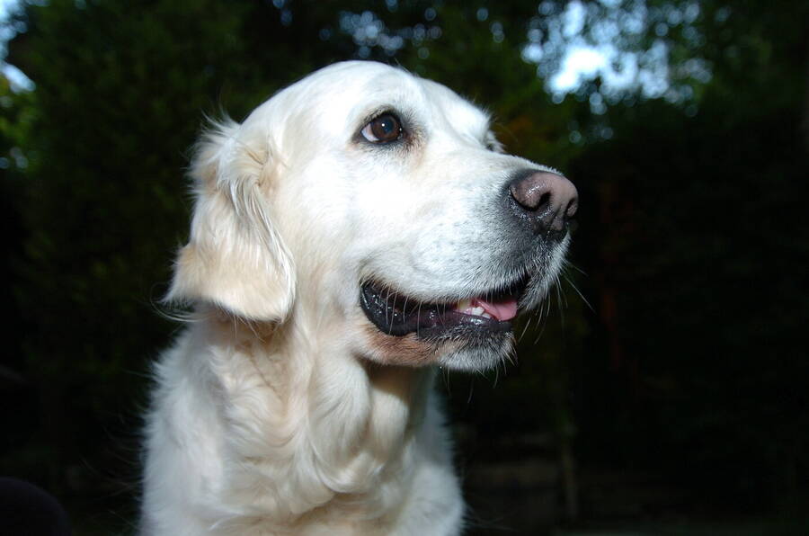 photographer Dave Wells uncategorized  photo