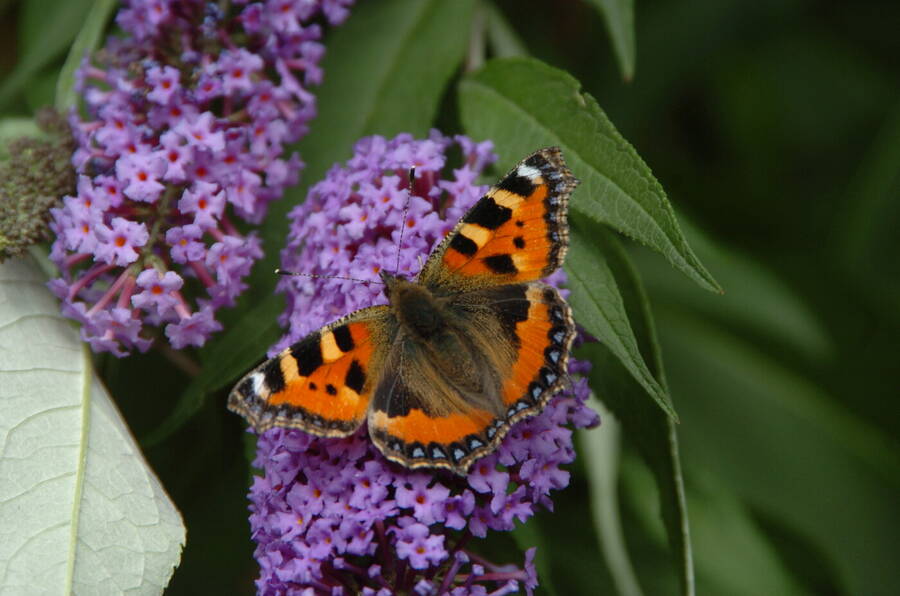 photographer Dave Wells uncategorized  photo