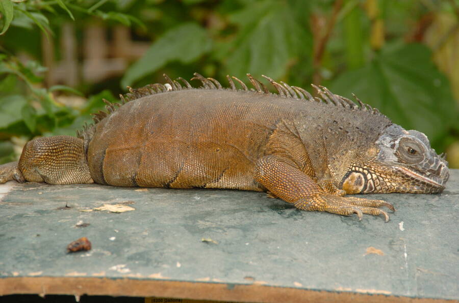 photographer Dave Wells uncategorized  photo