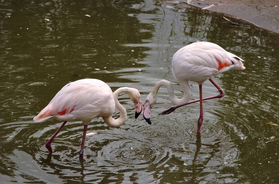 photographer Dave Wells uncategorized  photo