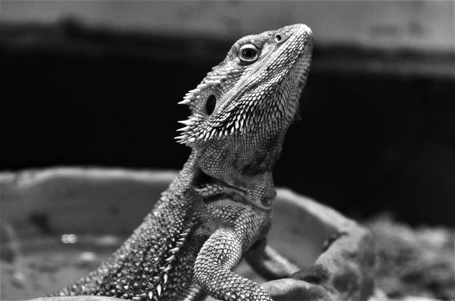 photographer Dave Wells uncategorized  photo