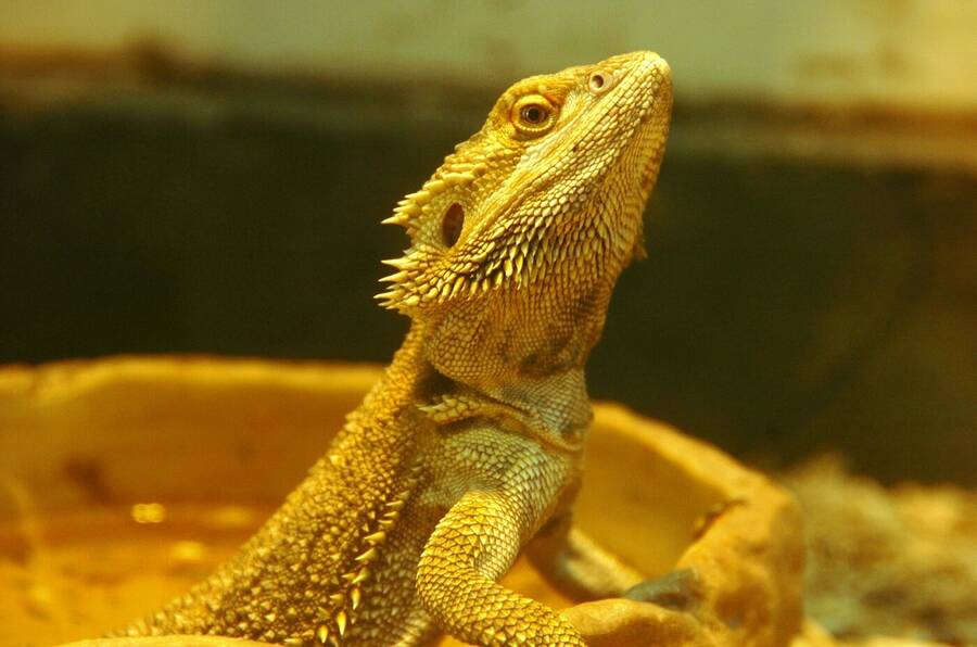 photographer Dave Wells uncategorized  photo