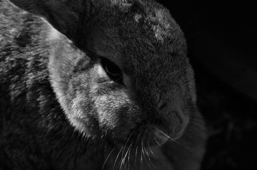 photographer Dave Wells uncategorized  photo