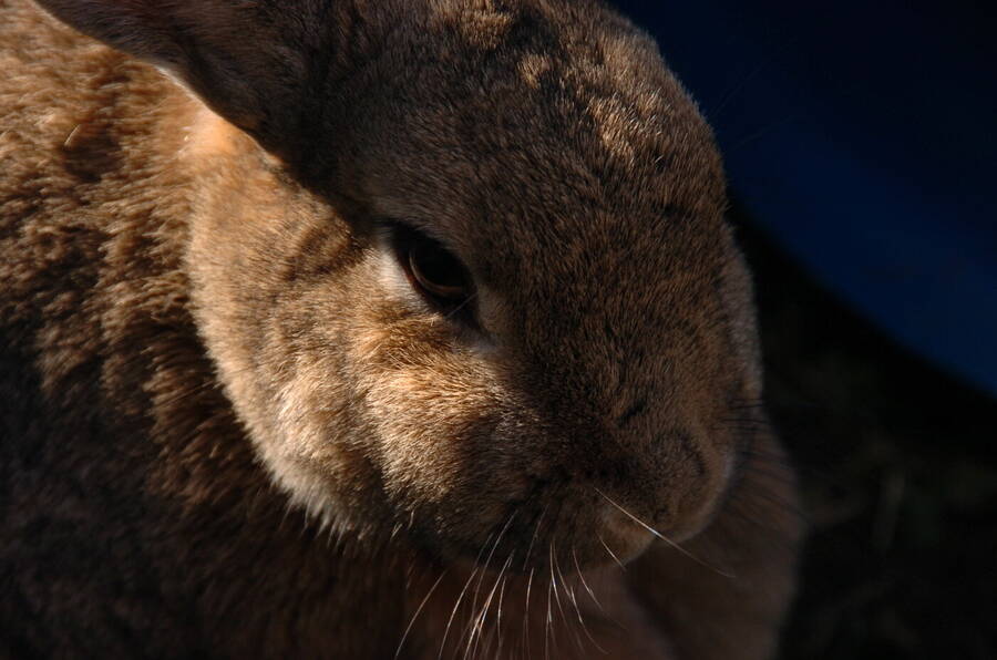 photographer Dave Wells uncategorized  photo