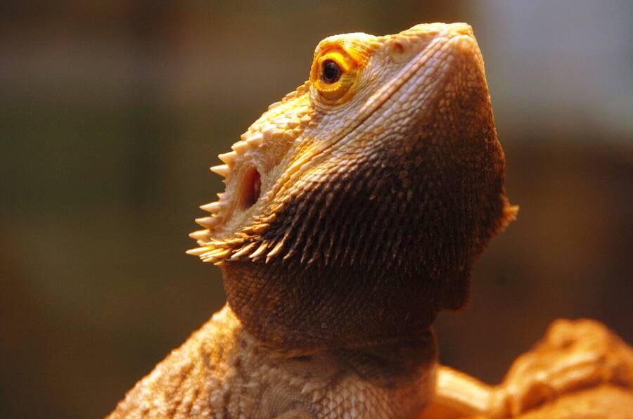 photographer Dave Wells uncategorized  photo