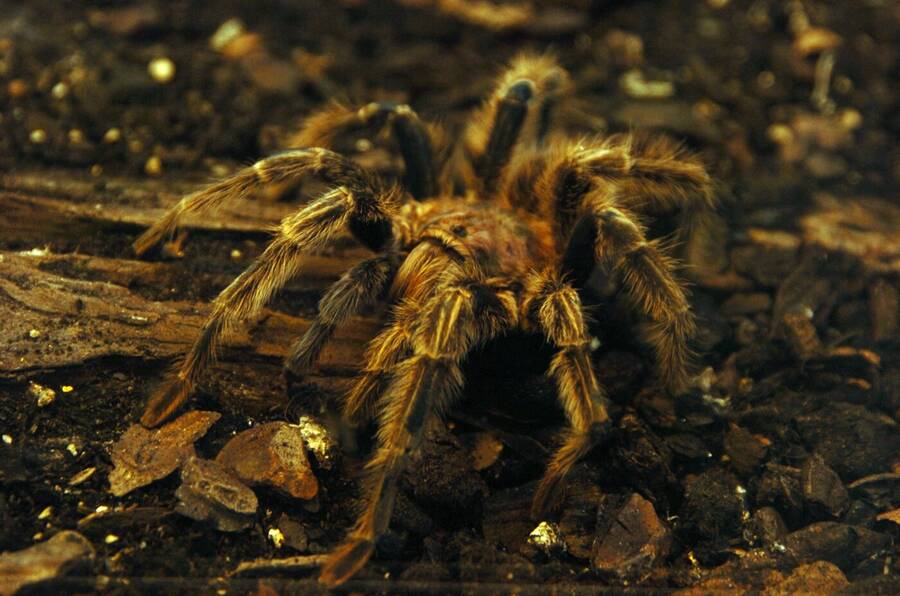 photographer Dave Wells uncategorized  photo